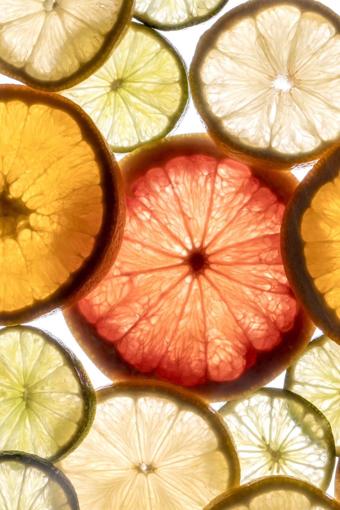 metabolism-energy-nutrition